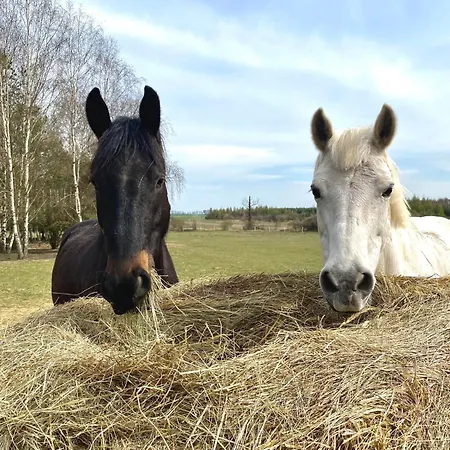 Na Wiedzmiej Gorce Holiday home