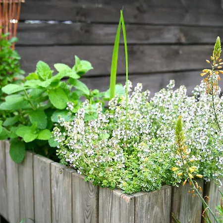 Na Wiedzmiej Gorce Holiday home Kotla