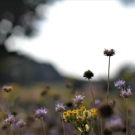 Holiday home Na Wiedzmiej Gorce