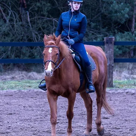 Na Wiedzmiej Gorce Kotla