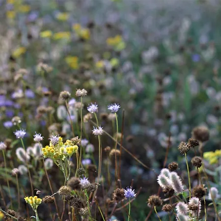 Na Wiedzmiej Gorce Holiday home *