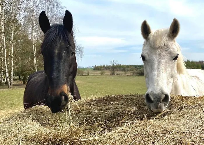 Na Wiedzmiej Gorce Дом отдыха