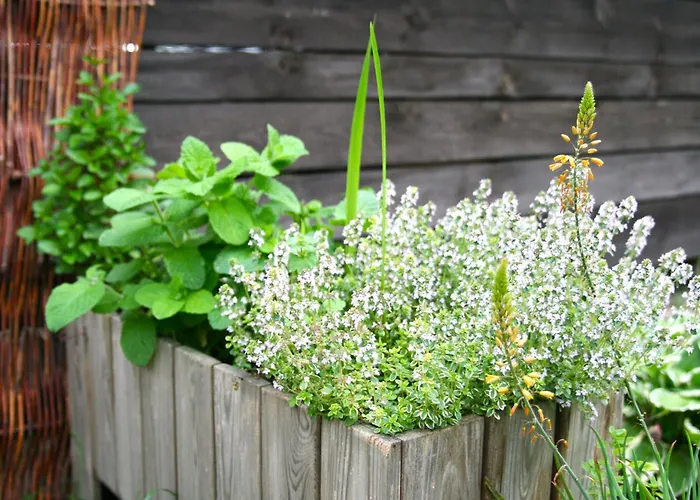 Na Wiedzmiej Gorce Holiday home Kotla