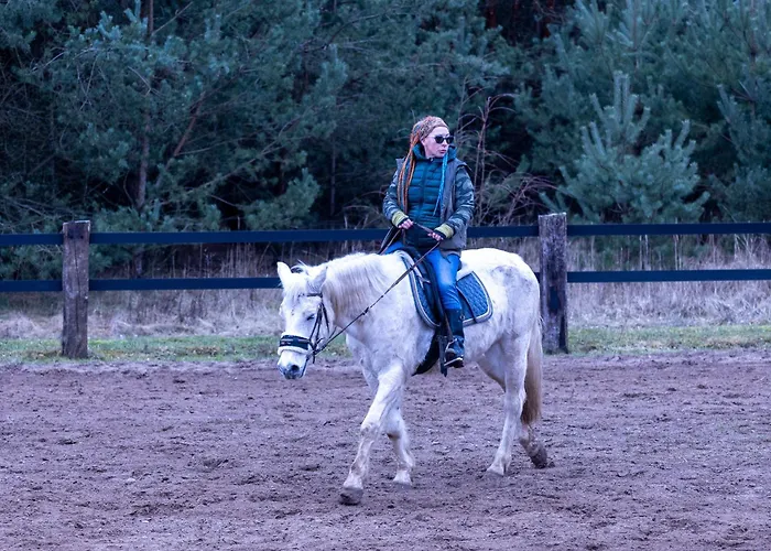 Na Wiedzmiej Gorce Kotla