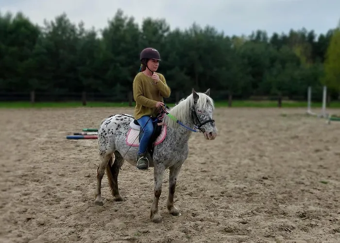 Na Wiedzmiej Gorce * Kotla