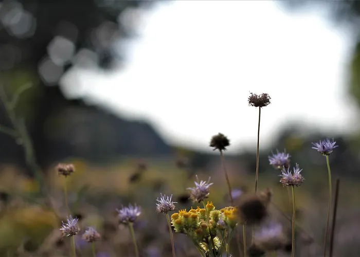 Дом отдыха Na Wiedzmiej Gorce