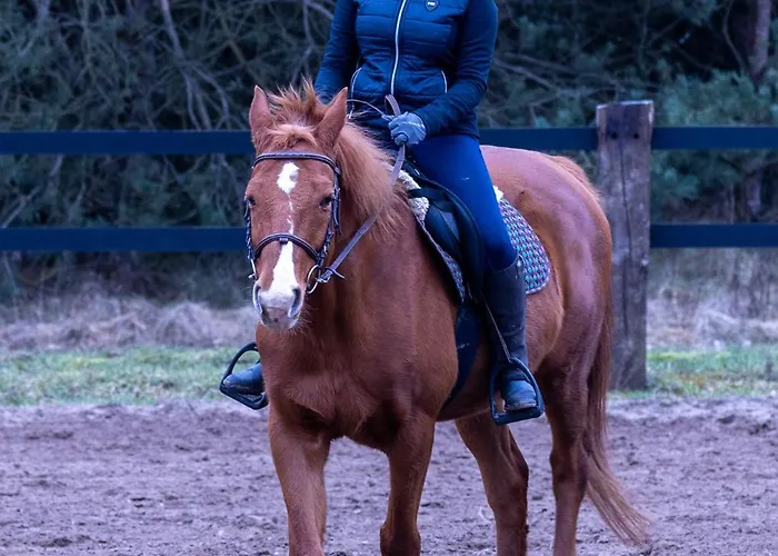 Na Wiedzmiej Gorce Kotla