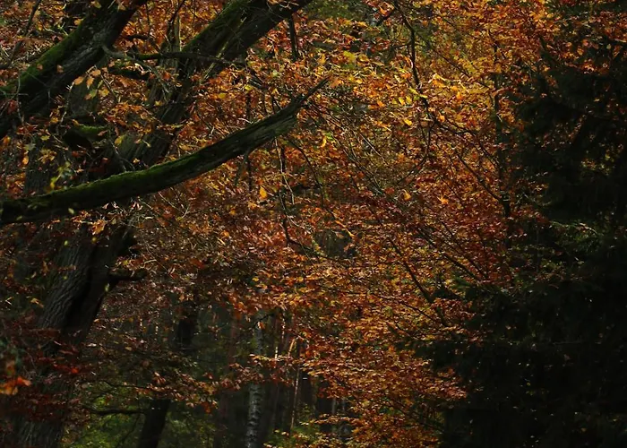 Na Wiedzmiej Gorce * Kotla