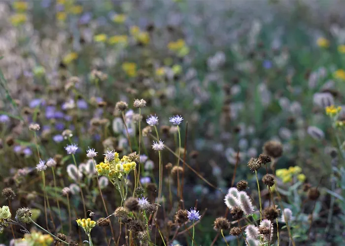 Na Wiedzmiej Gorce Holiday home *